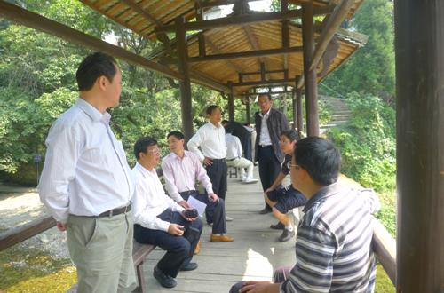 广西省农业厅副厅长谢东到大山村调研“一村一品”工作开展情况