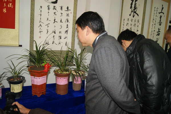 “雾里青杯”安徽省第八届兰花博览会在非遗园隆重举办