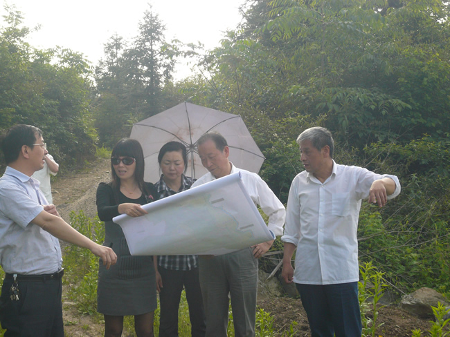 2012年石台县仙寓镇中低产田改造项目初步设计