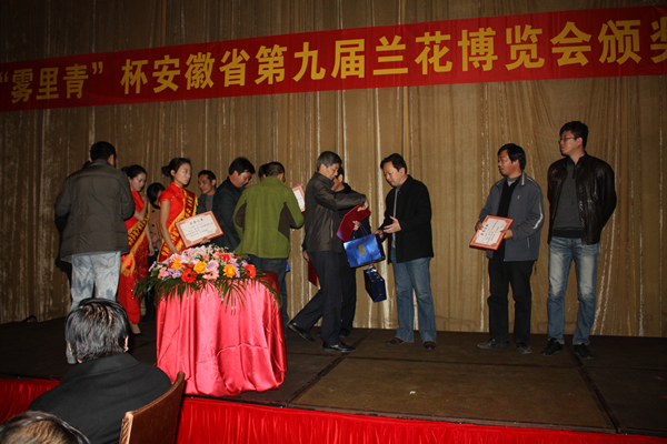 “雾里青”杯安徽第九届茶博会颁奖